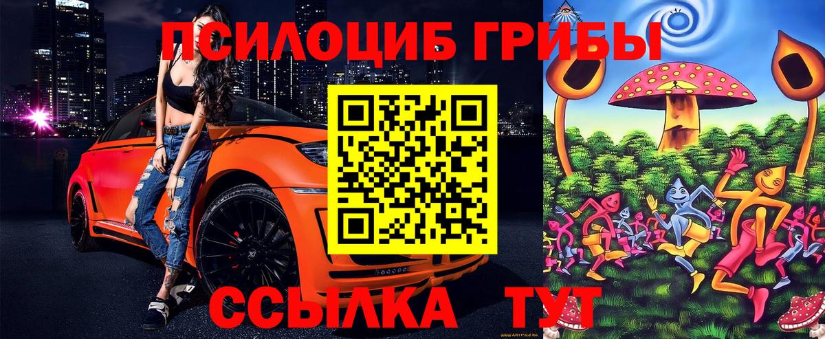 Галлюциногенные грибы MAGIC MUSHROOMS  Вход с VPN  Гусь-Хрустальный 